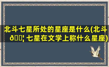 北斗七星所处的星座是什么(北斗 🐦 七星在文学上称什么星座)